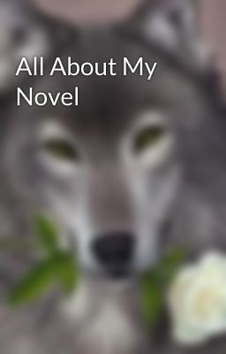 All About My Novel