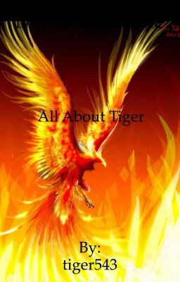 All About Tiger