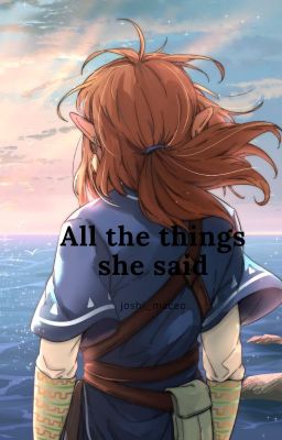 All the things she said (Pre-BotW Story)