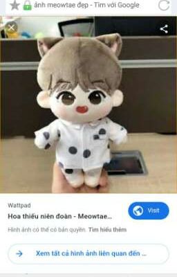 All Tips Nuôi Doll (BTS) 