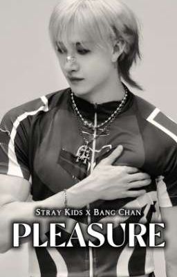 [allbangchan] pleasure