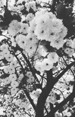 allconanヾ(๑╹◡╹)ノ