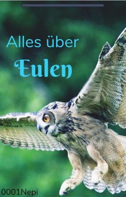 Alles über EULEN 