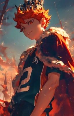 [allhinata] hạnh phúc 