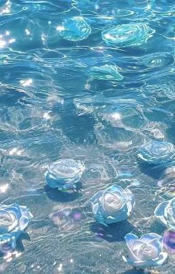 [ Allhinata] Nàng thơ đến từ Hyogo