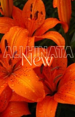 | allhinata | new