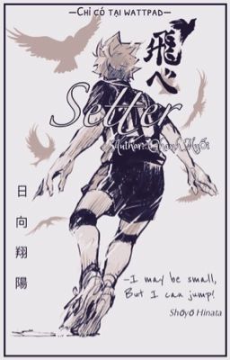 [AllHinata] Setter 