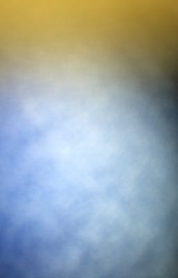 [ Allisagi ]: Học việt đào tạo quái vật 