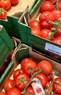 |allker| cà chua nè, cute hong