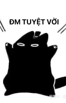 [AllKlein] Dịch Cho Vui.