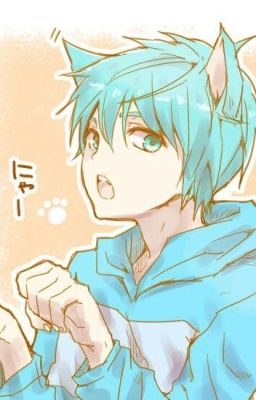 [AllKuroko] Đột nhiên hóa thành nhân thú