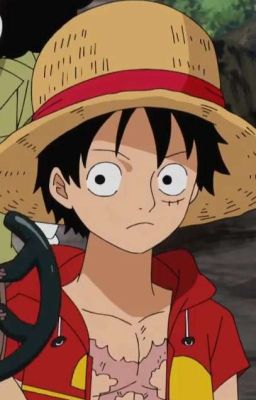 |AllLuffy| Mong Em Hạnh Phúc