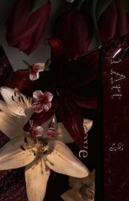 [ allper | onper ] yêu mèo