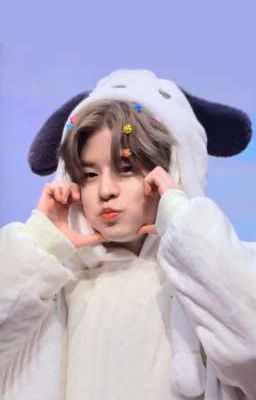 allseungmin 