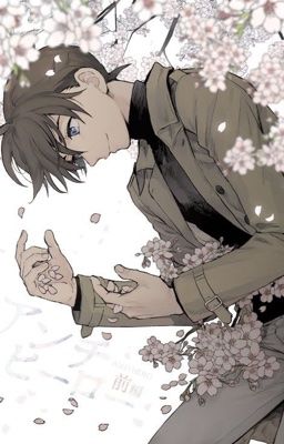 [AllShinichi] Ngược Chiều Nhớ Em.