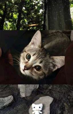 |allsonk| simple love