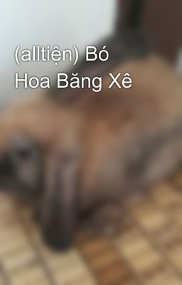 (alltiện) Bó Hoa Băng Xê