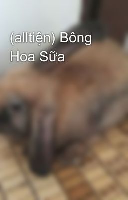 (alltiện) Bông Hoa Sữa 🥛