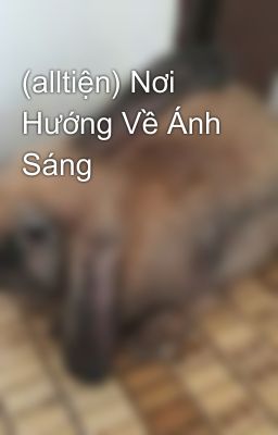 (alltiện) Nơi Hướng Về Ánh Sáng