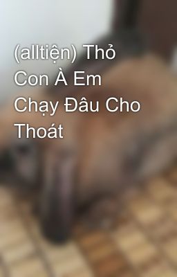 (alltiện) Thỏ Con À Em Chạy Đâu Cho Thoát