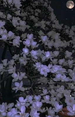 [AllVietNam]-Ghé Thăm-