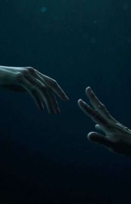 Allviper || Fake Protagonist