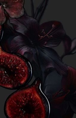 AllZeka | Body.