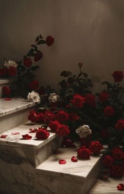 [AllZeus] Con thầy vợ bạn 