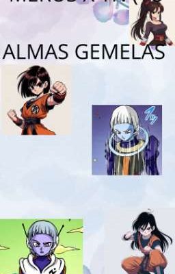 ALMAS GEMELAS 