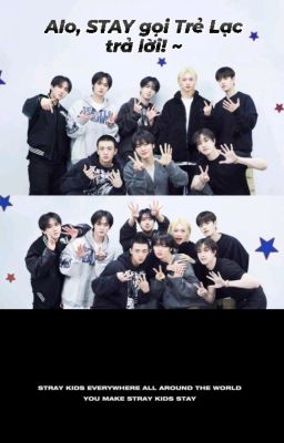 Alo, STAY gọi Trẻ Lạc trả lời! |SKZ × You|