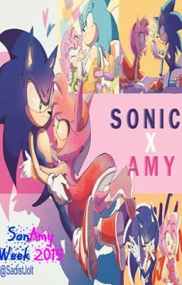 Always With you『SonAmy』