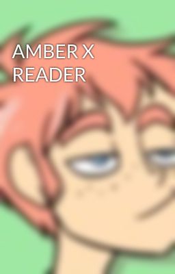AMBER X READER