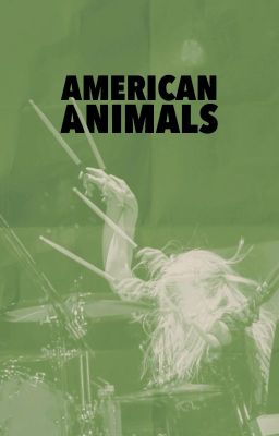 AMERICAN ANIMALS ─ gwen stacy