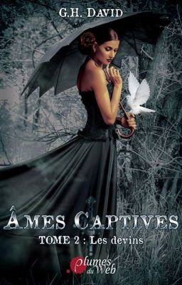 Âmes captives tome 2 Les Devins (Sous contrat aux éditions Plumes du Web)