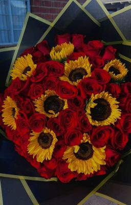 [AmeSov ]- Hồi ức xa xăm