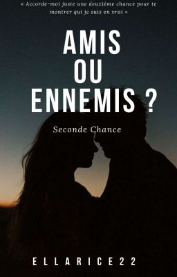 Amis ou Ennemis ? T2 : Seconde Chance 