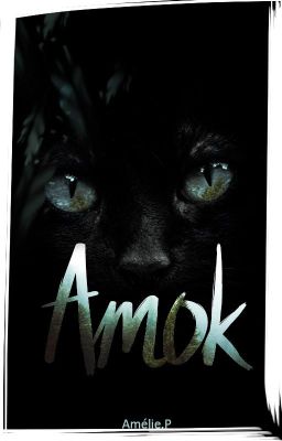 Amok [ TERMINEE ]