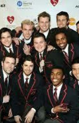 AMOR A LOS WARBLERS 