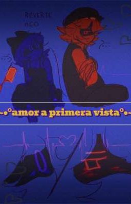 ~•°Amor a primera vista°•~[PAUSADA]