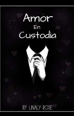 Amor en Custodia 1