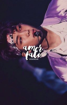 Amor Fati ➳ Namjoon