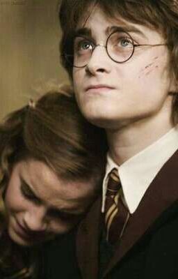 Amortentia - Harmione lovestory