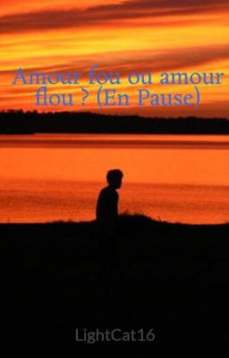 Amour fou ou amour flou ? (En Pause)