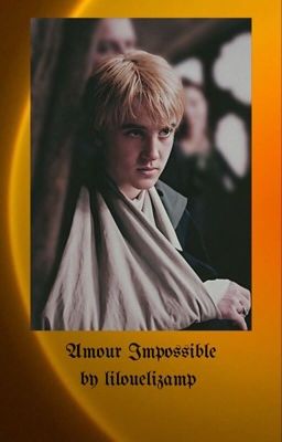 Amour Impossible - Draco Malfoy X Reader