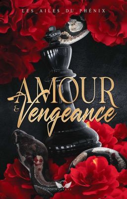 Amour & Vengeance |𝒋.𝒋𝐤