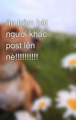 ăn trộm bài người khác post lên nè!!!!!!!!!!