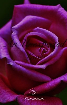 An Unexpected Love