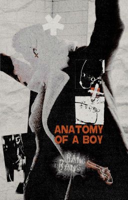 anatomy of a boy