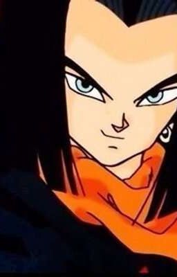 Android 17 x Naib Subedar 