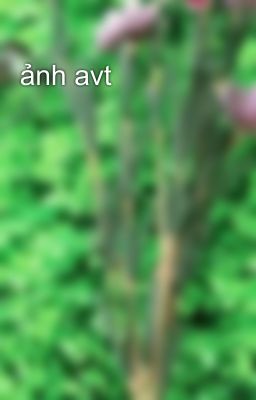 ảnh avt